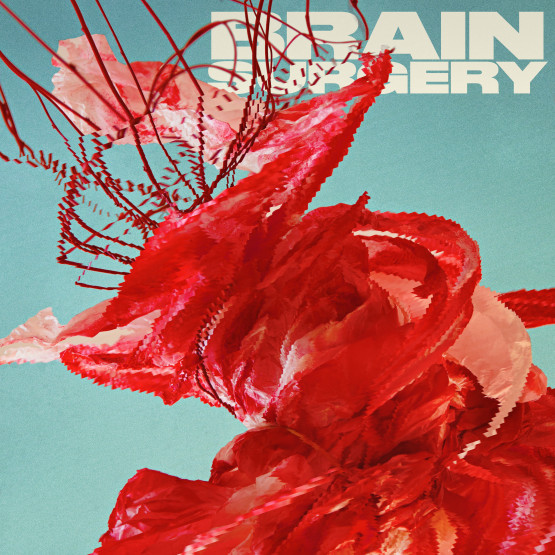 Ja Ja Dickicht — Brain Surgery
